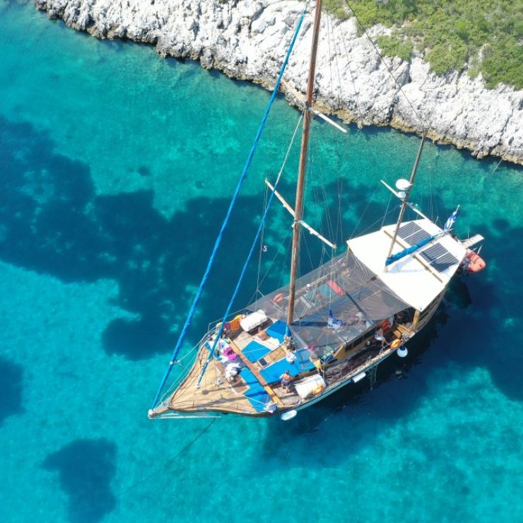 48843094887 82cf8d8ed9 b