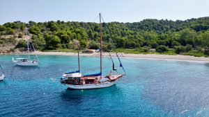 465932551 1078974550294174 5619918190590139278 n